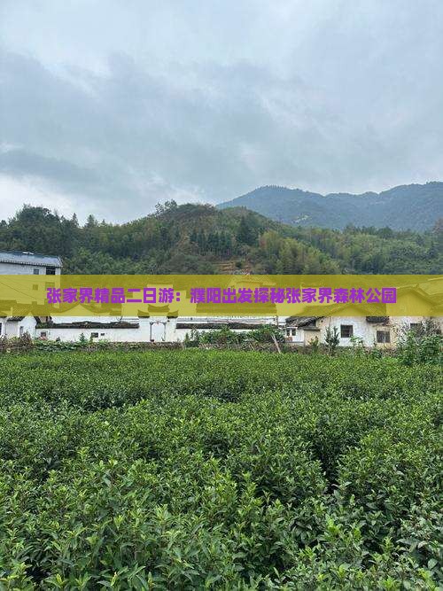 张家界精品二日游：濮阳出发探秘张家界森林公园