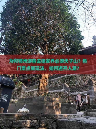 为何鄂州游客去张家界必游天子山？热门景点新玩法，如何避开人潮？