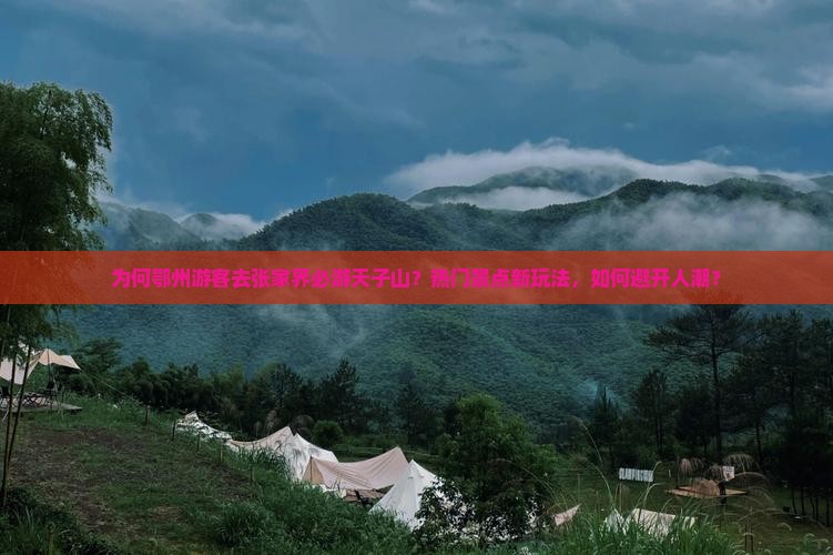 为何鄂州游客去张家界必游天子山？热门景点新玩法，如何避开人潮？