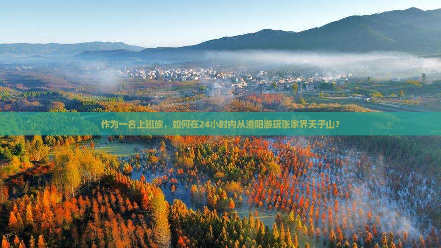 作为一名上班族，如何在24小时内从洛阳游玩张家界天子山？