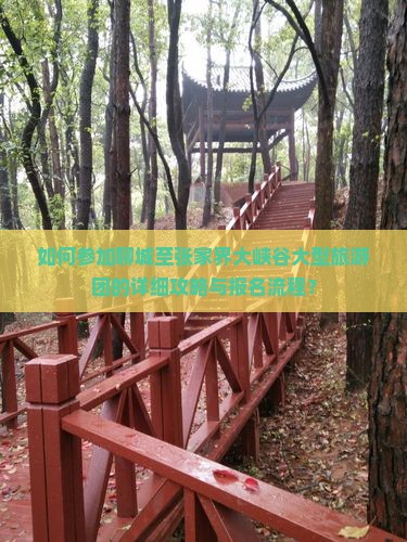 如何参加聊城至张家界大峡谷大型旅游团的详细攻略与报名流程？