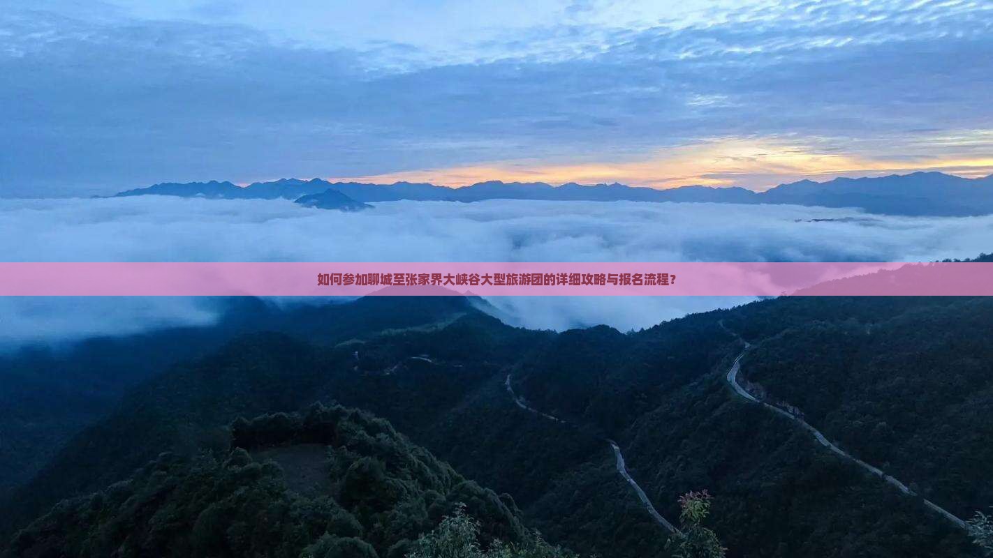 如何参加聊城至张家界大峡谷大型旅游团的详细攻略与报名流程？