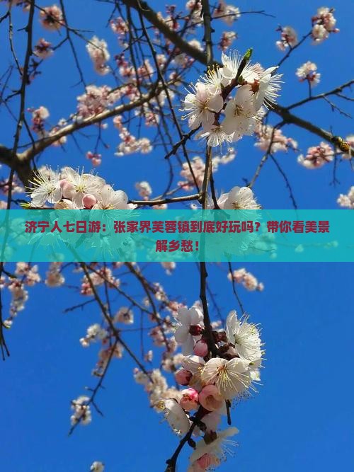 济宁人七日游：张家界芙蓉镇到底好玩吗？带你看美景解乡愁！