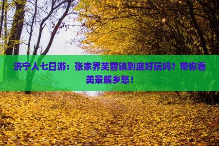济宁人七日游：张家界芙蓉镇到底好玩吗？带你看美景解乡愁！