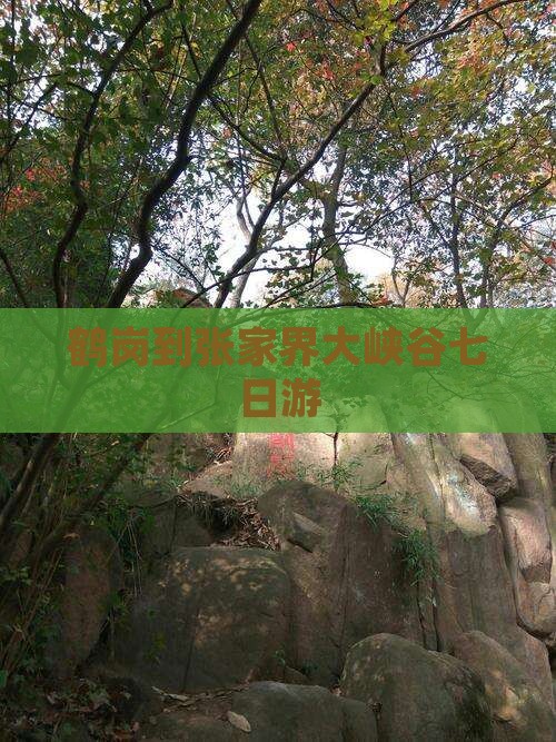 鹤岗到张家界大峡谷七日游