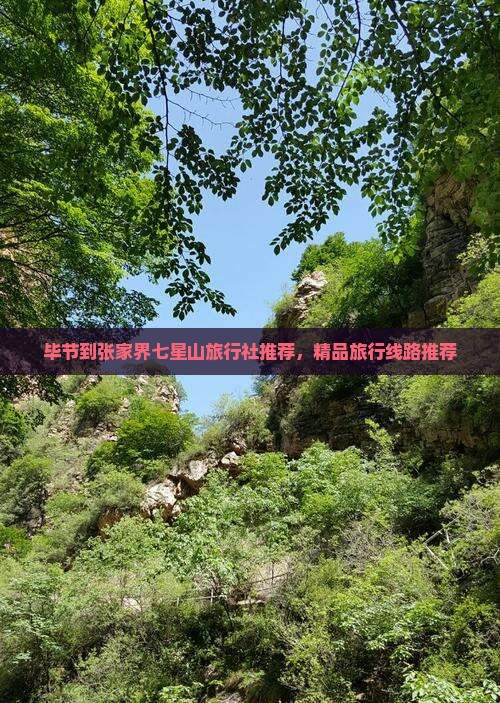 毕节到张家界七星山旅行社推荐，精品旅行线路推荐