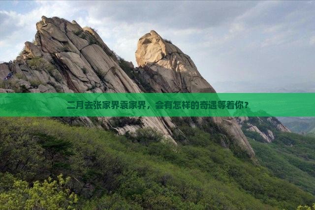 二月去张家界袁家界，会有怎样的奇遇等着你？