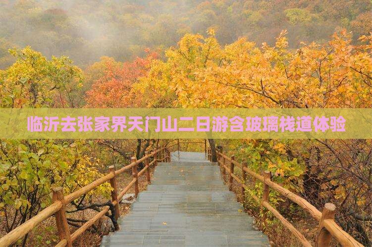 临沂去张家界天门山二日游含玻璃栈道体验