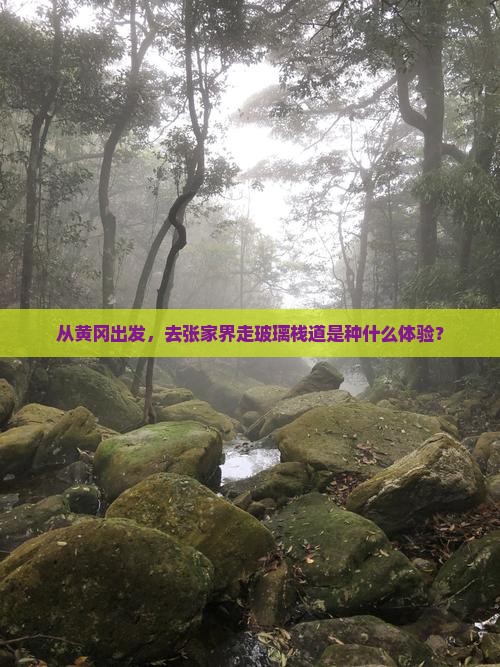 从黄冈出发，去张家界走玻璃栈道是种什么体验？