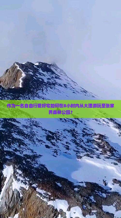 作为一名自由行爱好宅如何在8小时内从大理游玩至张家界森林公园？