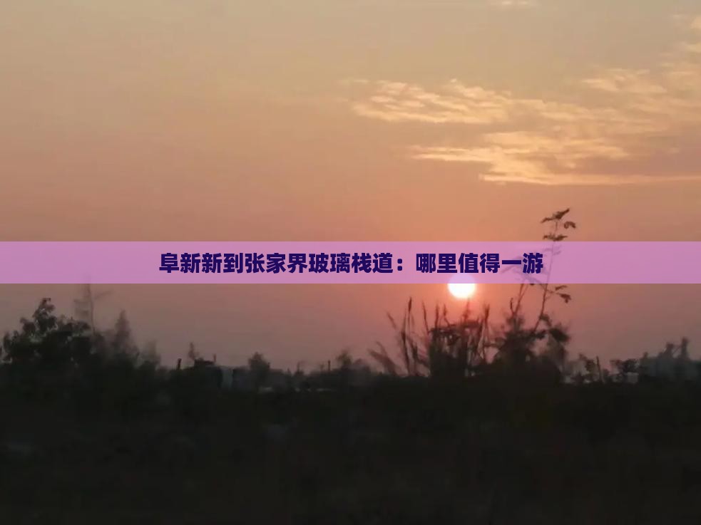 阜新新到张家界玻璃栈道：哪里值得一游