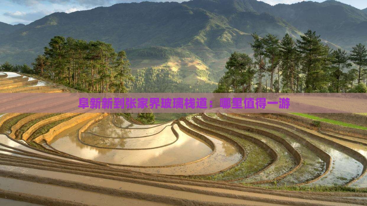 阜新新到张家界玻璃栈道：哪里值得一游