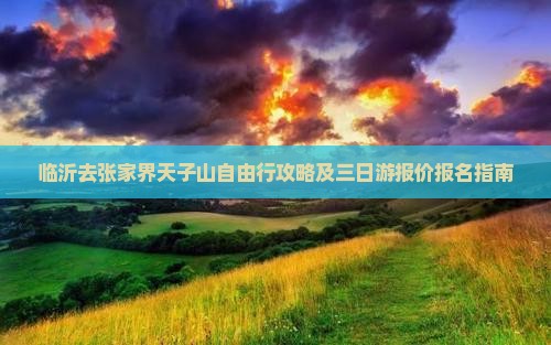 临沂去张家界天子山自由行攻略及三日游报价报名指南