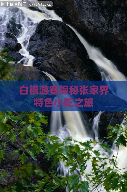 白银游客探秘张家界特色小吃之旅
