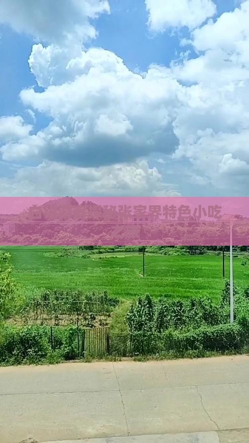 白银游客探秘张家界特色小吃之旅