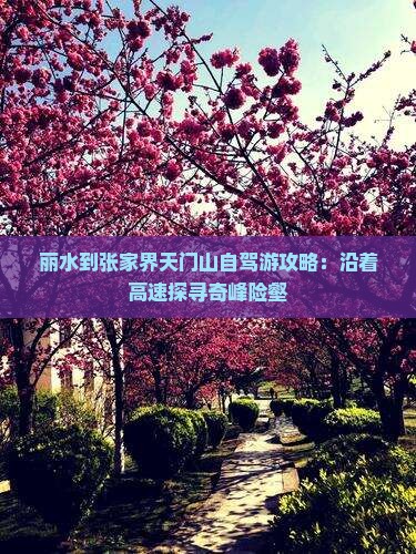 丽水到张家界天门山自驾游攻略：沿着高速探寻奇峰险壑