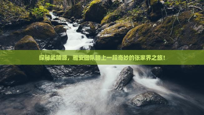 探秘武陵源，雅安团队踏上一段奇妙的张家界之旅！