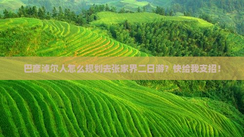 巴彦淖尔人怎么规划去张家界二日游？快给我支招！