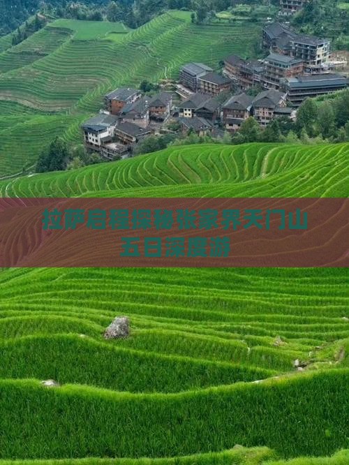 拉萨启程探秘张家界天门山五日深度游