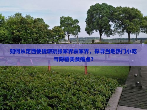 如何从定西便捷游玩张家界袁家界，探寻当地热门小吃与隐藏美食痛点？
