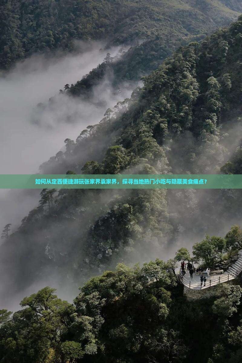 如何从定西便捷游玩张家界袁家界，探寻当地热门小吃与隐藏美食痛点？