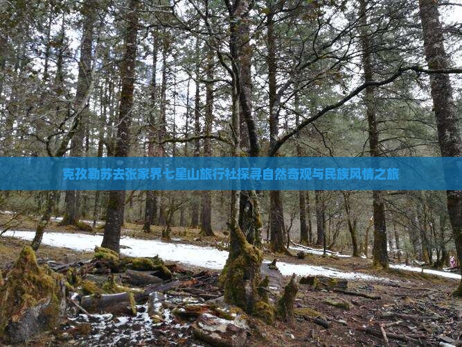 克孜勒苏去张家界七星山旅行社探寻自然奇观与民族风情之旅