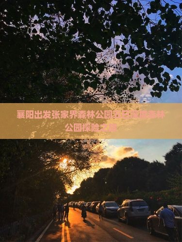 襄阳出发张家界森林公园五日深度森林公园探险之旅
