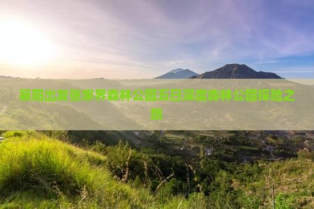 襄阳出发张家界森林公园五日深度森林公园探险之旅