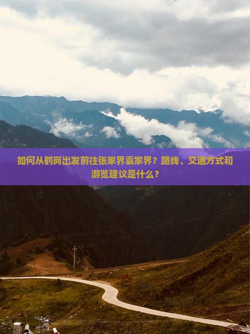 如何从鹤岗出发前往张家界袁家界？路线、交通方式和游览建议是什么？