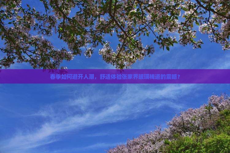 春季如何避开人潮，舒适体验张家界玻璃栈道的震撼？