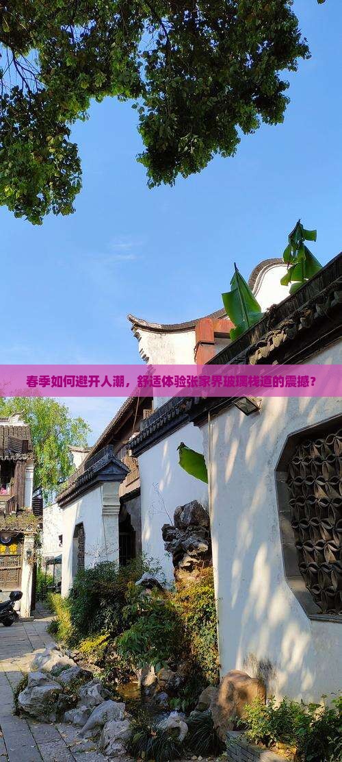 春季如何避开人潮，舒适体验张家界玻璃栈道的震撼？