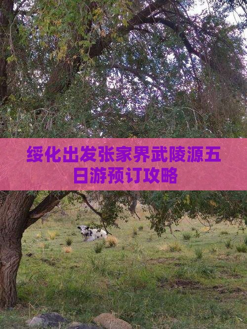 绥化出发张家界武陵源五日游预订攻略