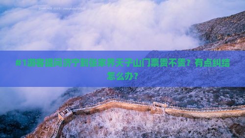 #1游客提问济宁到张家界天子山门票贵不贵？有点纠结怎么办？