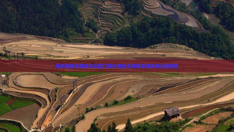 襄樊到张家界森林公园门票价格包含环保车票森林公园游览