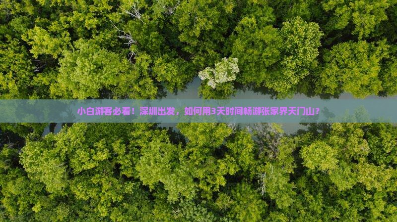小白游客必看！深圳出发，如何用3天时间畅游张家界天门山？