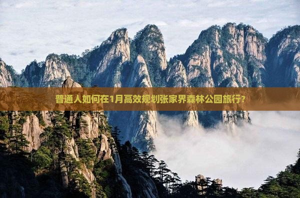 普通人如何在1月高效规划张家界森林公园旅行？