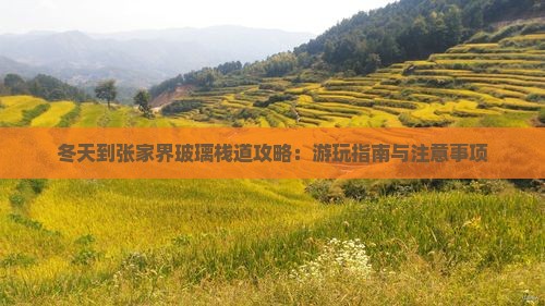 冬天到张家界玻璃栈道攻略：游玩指南与注意事项