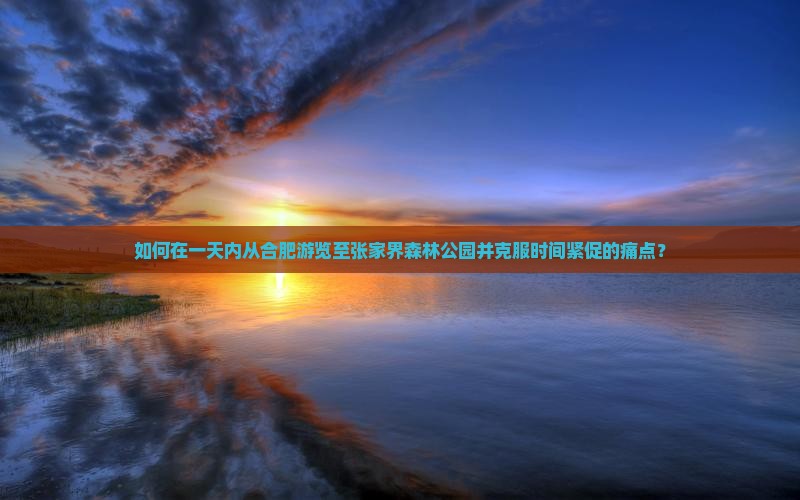 如何在一天内从合肥游览至张家界森林公园并克服时间紧促的痛点？