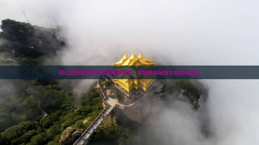 铜仁至张家界森林公园深度游览：探秘森林秘境中的经典景点