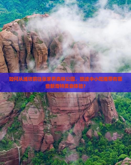 如何从潍坊前往张家界森林公园，旅途中小吃推荐有哪些新奇特美食体验？