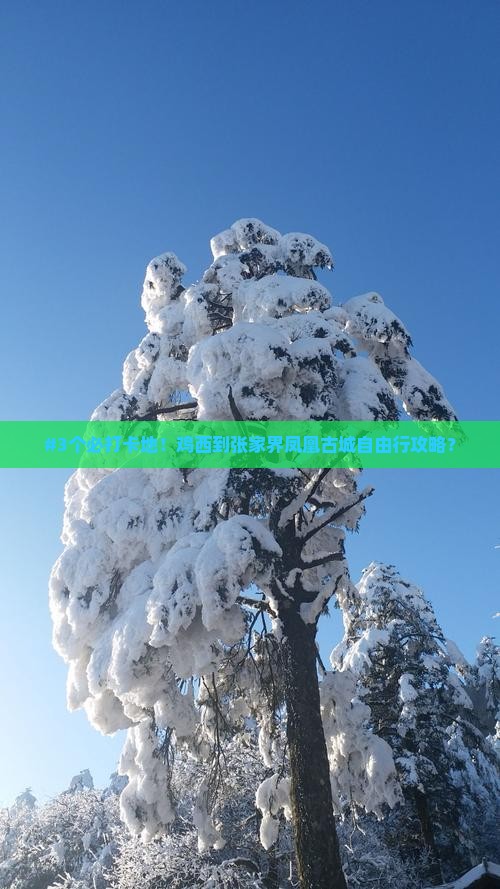 #3个必打卡地！鸡西到张家界凤凰古城自由行攻略？