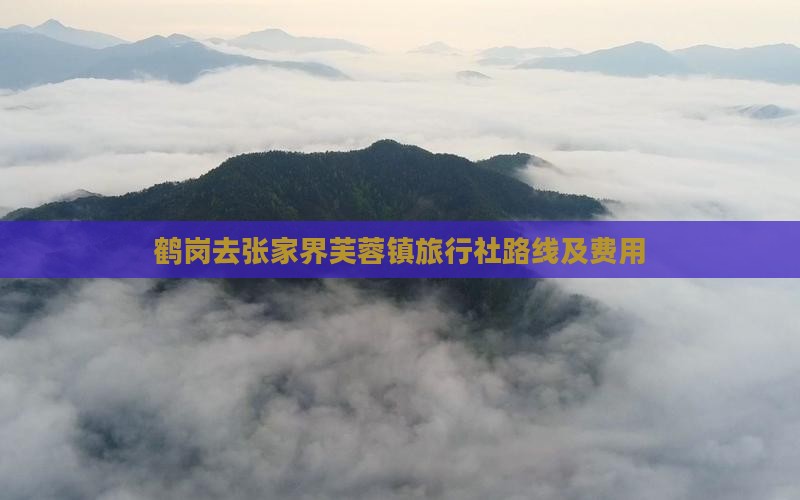 鹤岗去张家界芙蓉镇旅行社路线及费用