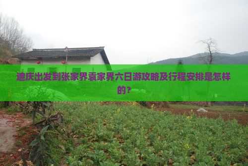 迪庆出发到张家界袁家界六日游攻略及行程安排是怎样的？