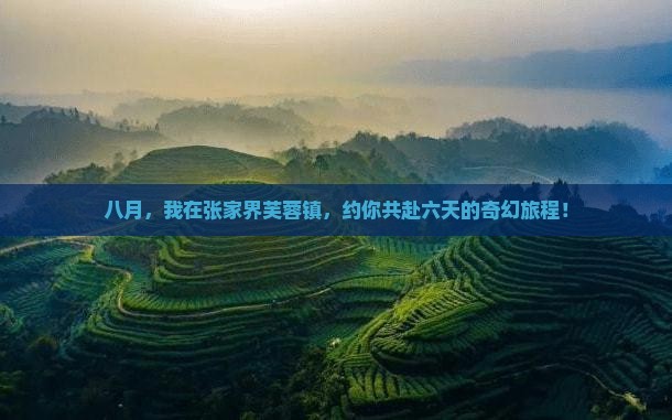 八月，我在张家界芙蓉镇，约你共赴六天的奇幻旅程！