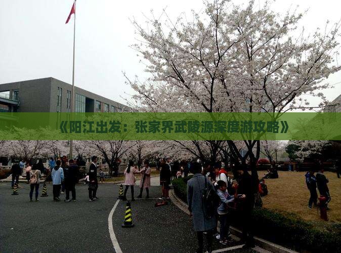 《阳江出发：张家界武陵源深度游攻略》
