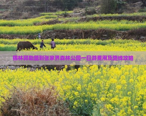 锡林郭勒盟到张家界森林公园一日游费用及路线攻略