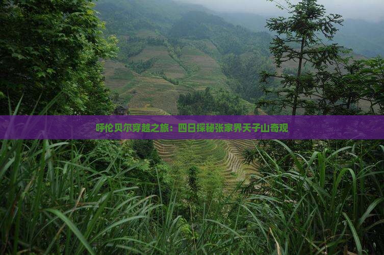 呼伦贝尔穿越之旅：四日探秘张家界天子山奇观