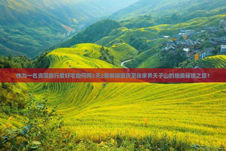 作为一名资深旅行爱好宅如何用3天2夜解锁肇庆至张家界天子山的绝美秘境之旅？