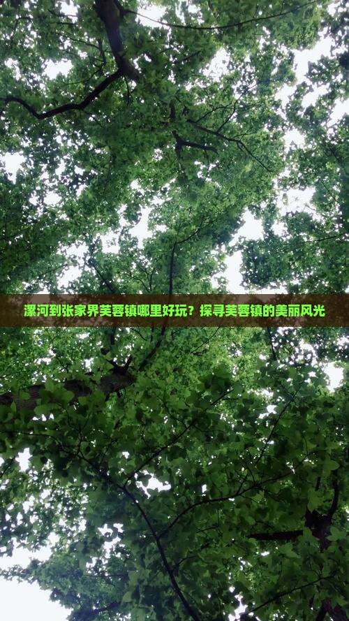 漯河到张家界芙蓉镇哪里好玩？探寻芙蓉镇的美丽风光