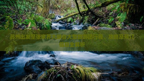 苏州出发至张家界大峡谷大型旅游团行程、攻略及预订信息全解析